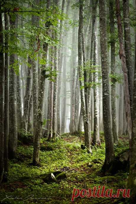 This is a Nature blog.