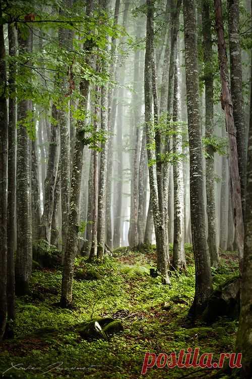 This is a Nature blog.