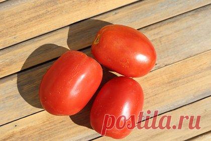 Мужчинам посоветовали включить в меню один доступный продукт ради здоровья простаты