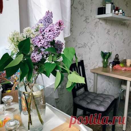Photo by Обожаю Быть Женщиной in Bulgakovo, Bashkortostan, Russia. На изображении может находиться: растение, стол, цветок и в помещении