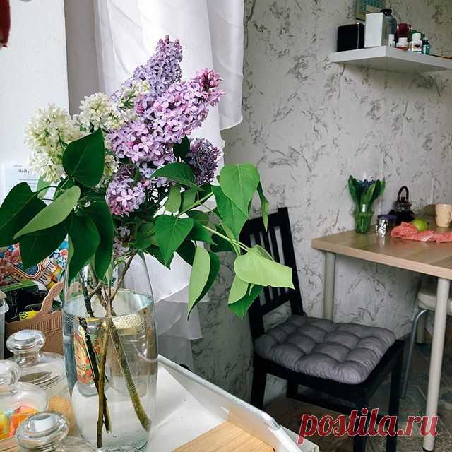 Photo by Обожаю Быть Женщиной in Bulgakovo, Bashkortostan, Russia. На изображении может находиться: растение, стол, цветок и в помещении