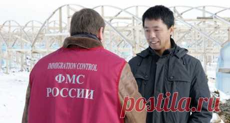 ФМС приступит к массовой дактилоскопии мигрантов