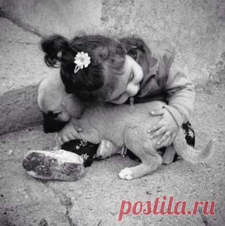 Ты мой ласковый дружок...