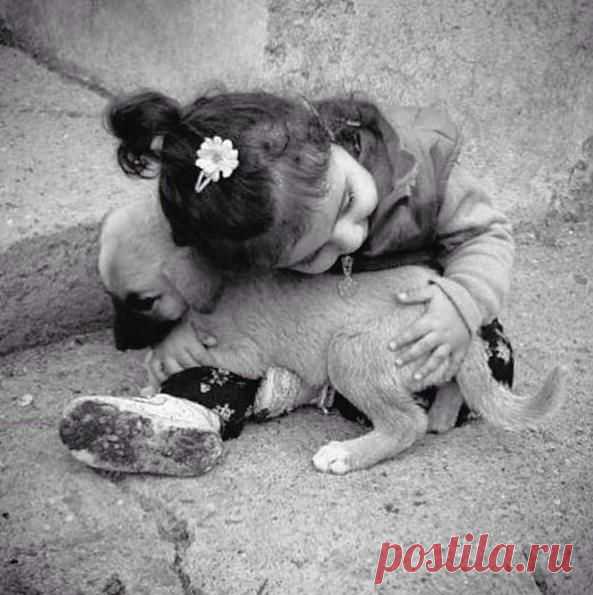 Ты мой ласковый дружок...