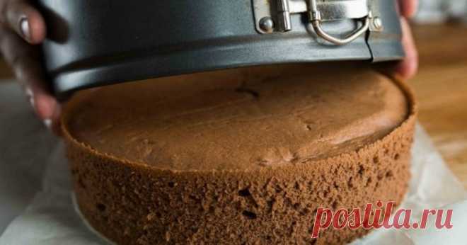 Опытные хозяйки выпекают бисквит по такой технологии: отделяем белки и желтки…