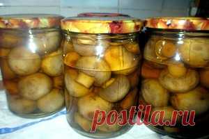 Домашние заготовки - категория блюда, рецепты с фото