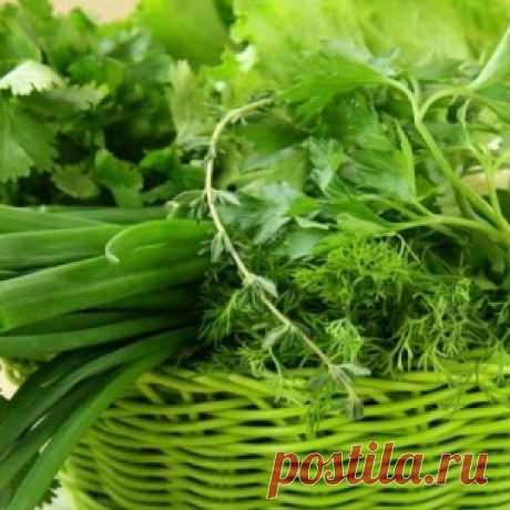 Чем полезно ощелачивание организма + 10 способов