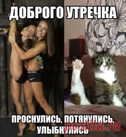 ZHANNA*****: Я не хочу «наполовину» Солнца, Мне половина неба - ни к чему… «Наполовину» песня -оборвется, Любви «наполовину» - не приму! Наполовину вместе-значит порознь,Наполовину искренность-вранье!Наполовину смелость-значит подлость,«Наполовину»- ЭТО -точно не МОЁ!