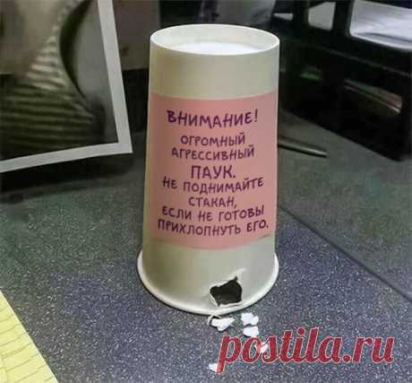 20 доказательств, что работа не волк, в лес не убежит