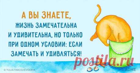 7 открыток недели