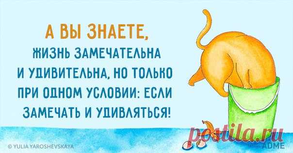 7 открыток недели