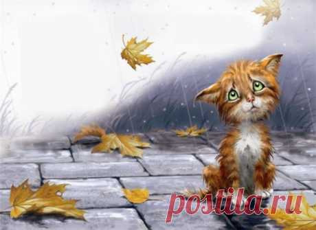 98485-db4c4-92822453-m750x740-u002fe.jpg (640×466)