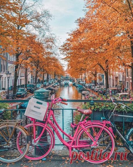 #Амстердам@discoverygroup