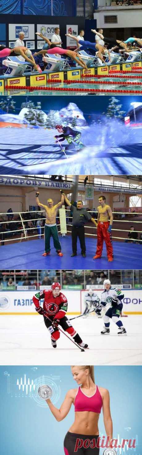 Стрельба из лука, Спортинг, Парашютный спорт, Самбо. (1/1) - Спортивный форум. - Спортивный сайт