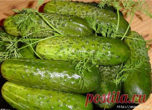 Два рецепта малосольных огурцов..