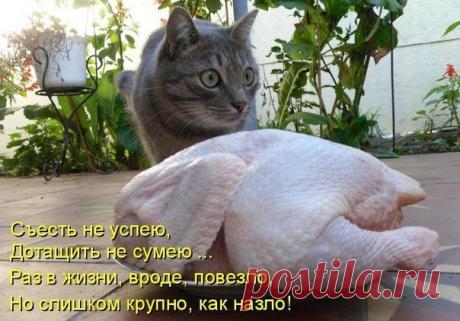 Новости