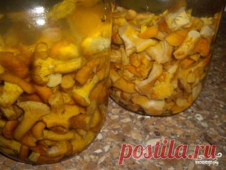 Маринованные лисички с чесноком - пошаговый рецепт с фото на Повар.ру