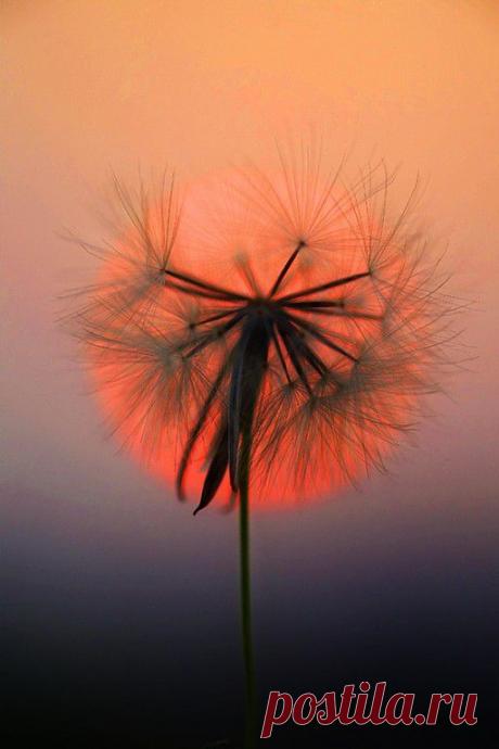 Живопись - это поэзия, которую видят
Наталья Занкина