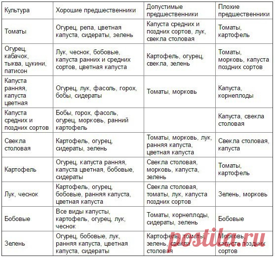 Таблица чередования посевов овощей в огороде

Из севооборота овощей можно извлечь выгоду. Это и защита растений от вредителей и болезней, и сохранение плодородия почвы. Но недостаточно просто менять овощи местами от сезона к сезону, нужно учитывать, какие предшественники наиболее полезны для каждой овощной культуры.

При севообороте соблюдаем правило: не сеять одну и ту же культуру второй год на старое место. Это относится и к представителям одного и того же семейства куль...