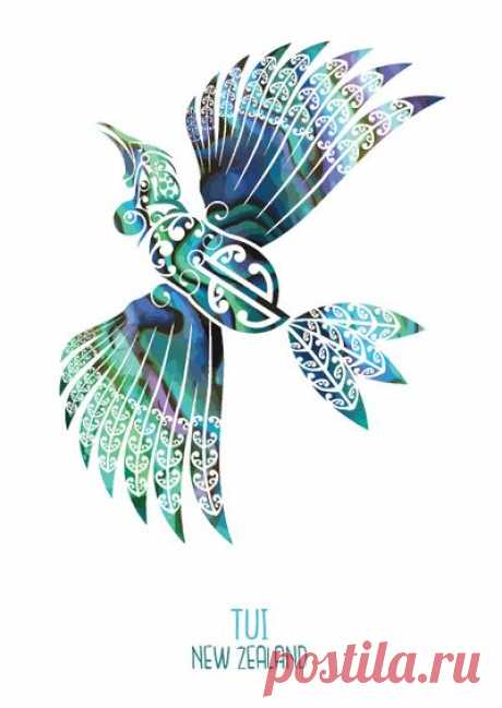 Ekara Postcard of Tui, New Zealand by Shane Bosnich-Wood with code 005