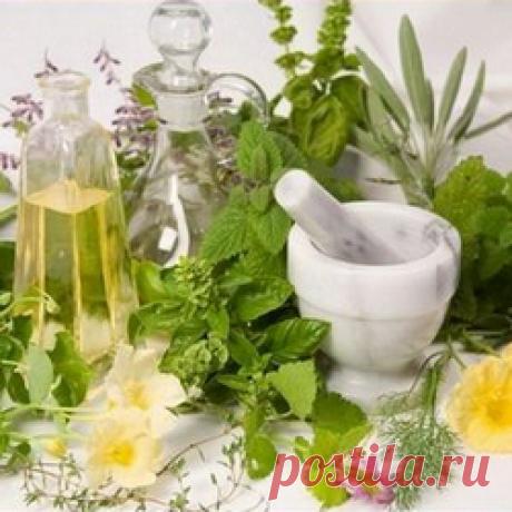 Лечение печени травами - лучшие средства :: FupiDay.com