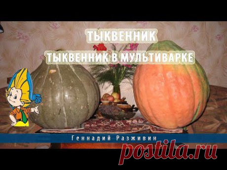 Тыквенник.Тыквенник в мультиварке - YouTube