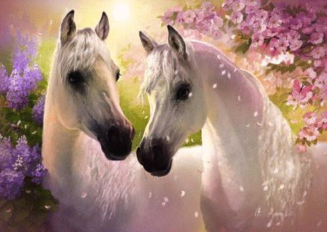 38916eba3d2c4eb0c62b3abeb6ff93ec.gif (650×462)