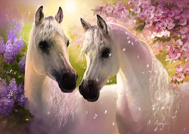 38916eba3d2c4eb0c62b3abeb6ff93ec.gif (650×462)