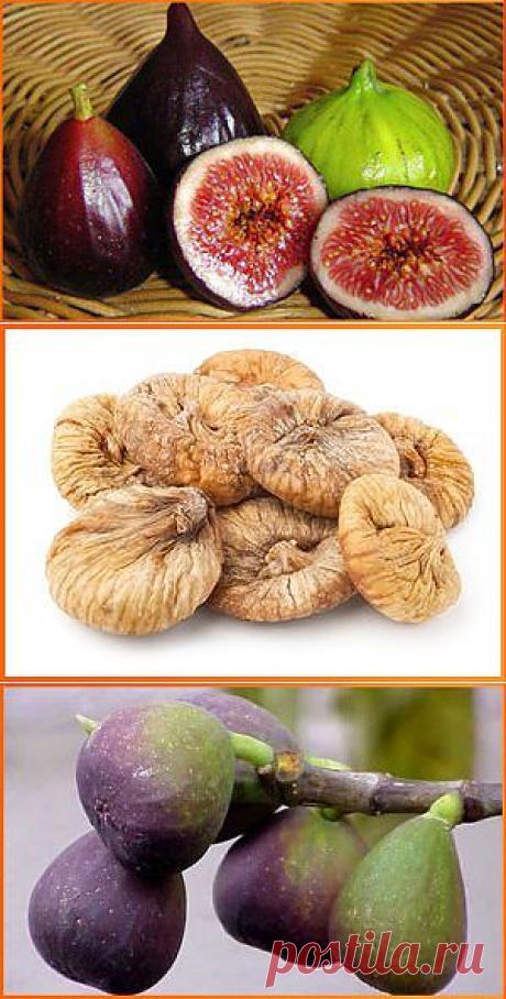 Инжир, смоква, фиги