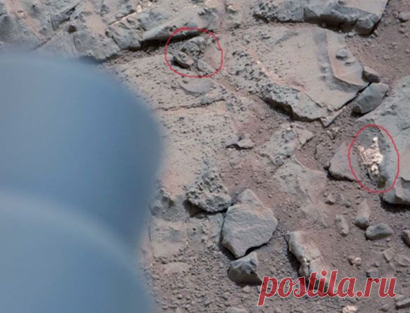 Новости сегодня: СМИ: зонд NASA запечатлел доисторические орудия труда и скелеты на Марсе - 20.07.2015 - последние новости дня