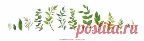 Decorative Изображения, стоковые фотографии и векторная графика | Shutterstock