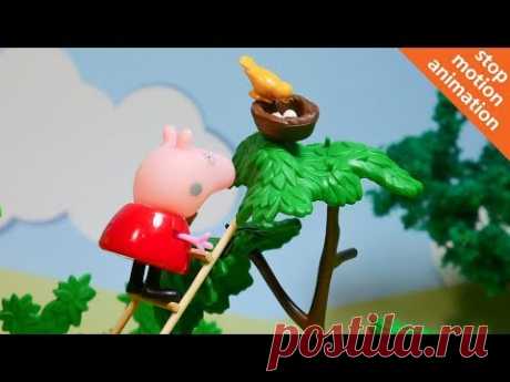 Свинка Пеппа и гнездо в лесу. Добрый мультик из игрушек на русском. 0+ - YouTube