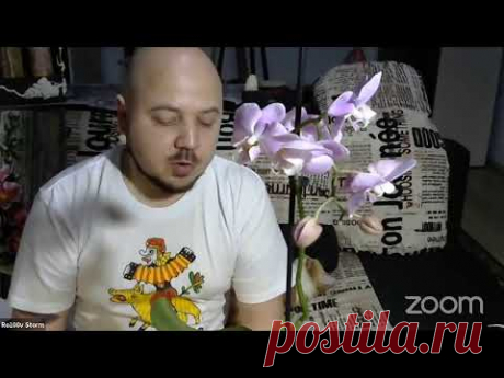 Дмитрий Руденский.Царь горы.