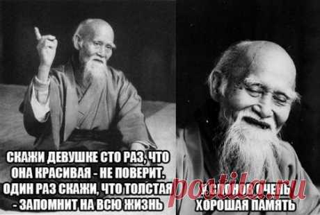 Прикольные картинки нон-стоп (34 шт)