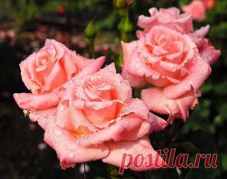 Чем шедевр отличается от ширпотреба