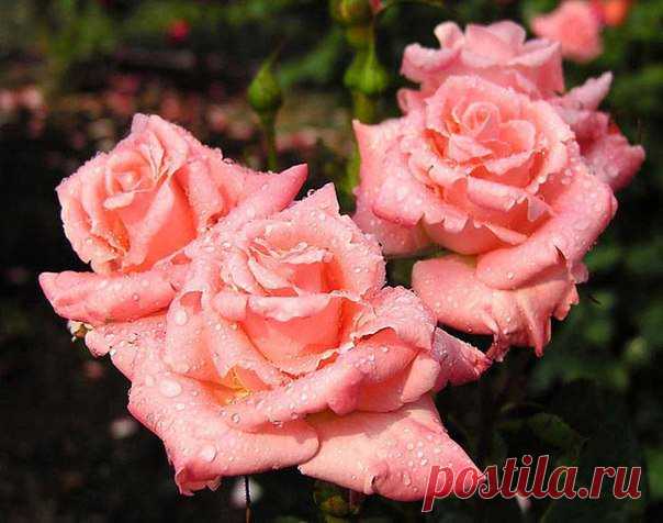 Чем шедевр отличается от ширпотреба