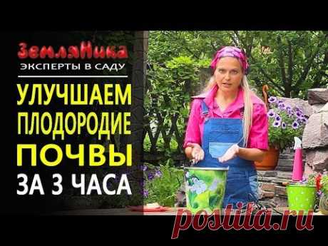 Плодородная почва за 3 часа. И причем здесь Тульский пряник. 0+