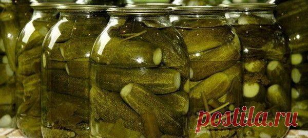 Новейший способ засолки огурцов. Язык проглотишь - Кухня мира