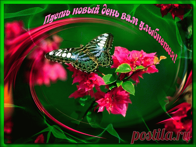 Открытки анимация Удачного дня | Открытки анимация