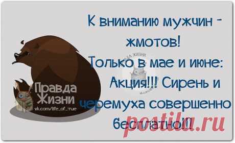 Интересные новости