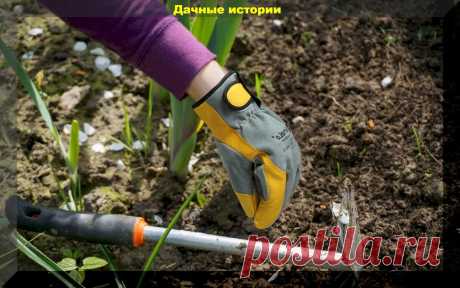13 самых важных забот у дачника в апреле: обязательные работы которые нужно успеть сделать | Дачные истории | Яндекс Дзен