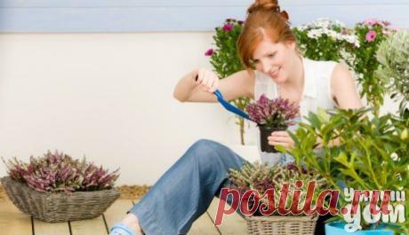 Фотографии на стене сообщества | 32 824 фотографии | ВКонтакте