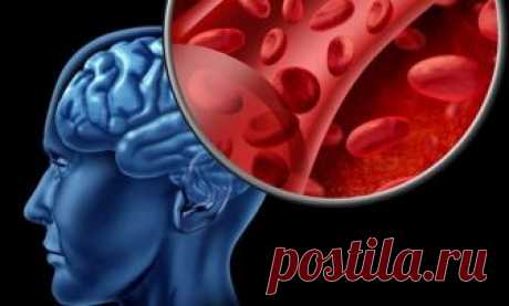 Улучшение мозгового кровообращения: народные средства Улучшение мозгового кровообращения - это отличная профилактика сосудистых заболеваний и снижение риска инсульта. Пять рецептов и комплекс лечебной гимнастики.
Улучшение мозгового кровообращения - эт…