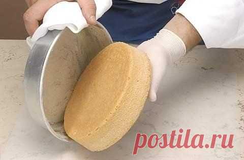 Как приготовить бисквит (основные рецепты) - рецепт и способ приготовления, ингридиенты | sloosh