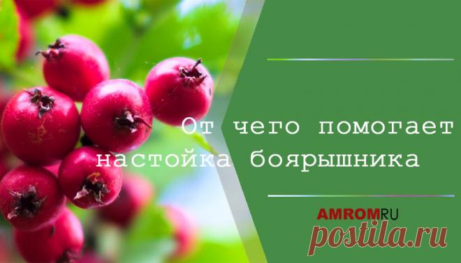 От чего помогает настойка боярышника. Приготовить полезное лекарство можно самому, не прикладывая особого труда и потратив совсем немного времени. Рассмотрим подробнее полезные свойства боярышника…