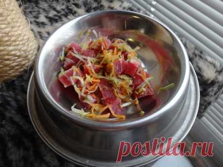 Натуральное кормление. Практический опыт (обсуждение)-2 • Форум КОТОДОМ