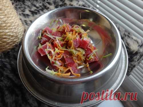 Натуральное кормление. Практический опыт (обсуждение)-2 • Форум КОТОДОМ