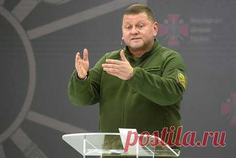 Стало известно о возможном увольнении Залужного. Президент Украины Владимир Зеленский, предположительно, уволил главнокомандующего ВСУ Валерия Залужного. О возможном увольнении заявил бывший депутат Верховной Рады Борислав Береза. «Зеленский снял главкома Залужного», — написал он. Береза в другой публикации также утверждал, что Залужного уволили.