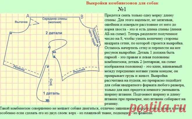 одежда для собачек своими руками выкройки: 10 тыс изображений найдено в Яндекс.Картинках