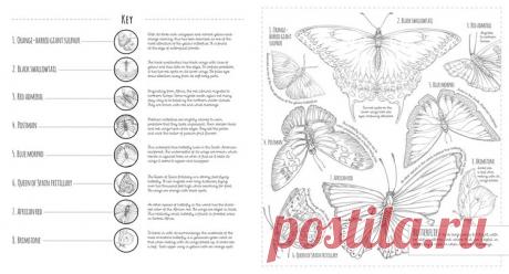 18 COLOURING BOOKS for ADULTS — Manda Group